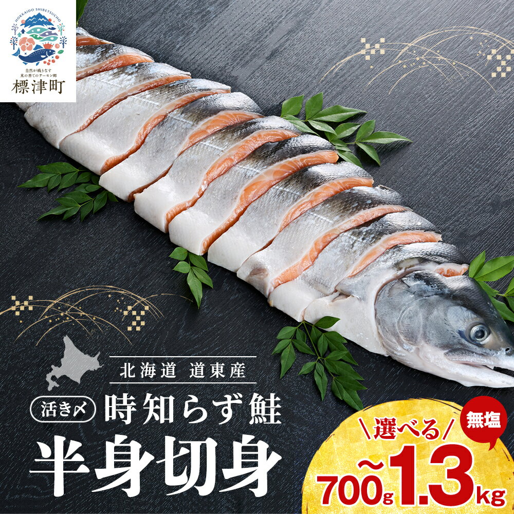 【ふるさと納税】北海道道東産　活き〆時知らず鮭半身切身　北海道 人気 トキシラズ さけ 天然　約700g～1.4kg_ サケ しゃけ ときしらず トキシラズ 冷凍 真空パック 個包装 小分け 鮭切身 切り身 無塩 サーモン【配送不可地域：離島】【G1148812】