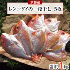 丹後のお魚屋さん一押し!レンコダイのうまみ凝縮一夜干し5枚(冷凍)