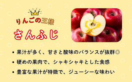 【先行予約】サンふじ 約3kg (6〜12玉）（2025年12月上旬から発送）りんご サンふじ 限定  直送 好評 (7-A41-1)