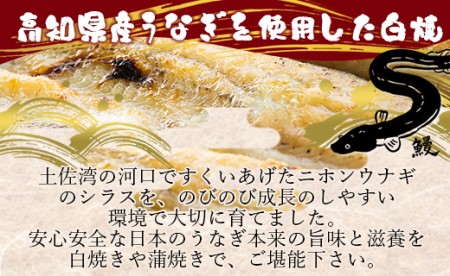 高知県産うなぎの白焼特大サイズ(180～210g)×1尾【うなぎ うなぎ うなぎ 養殖うなぎ 高知県産うなぎ 丑の日】 yw-0042