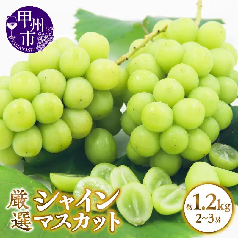 甲州市産 厳選 シャインマスカット 約1.2kg（2～3房）【2026年発送】（APX）B-195 シャインマスカット フルーツ
