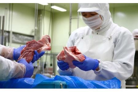 肉質４等級以上！おおいた和牛のの黒毛和牛　モモ肉とローススライス（計８００ｇ）