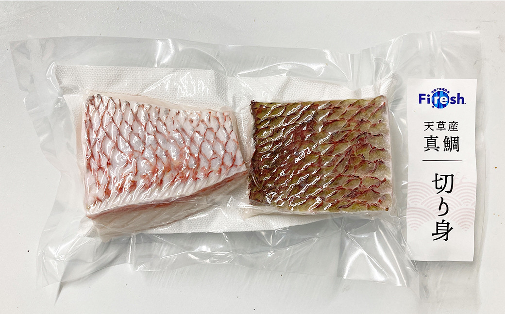 真鯛の切り身&サク 