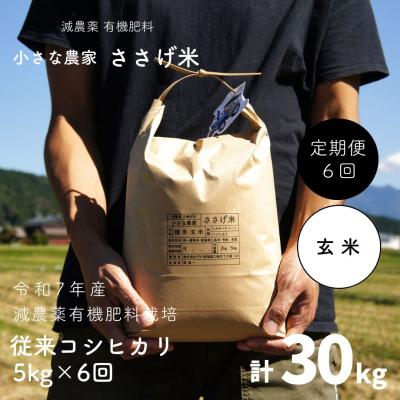 ふるさと納税 三条市 [定期便5kg×6か月]減農薬有機肥料栽培 新潟県産 従来コシヒカリ 玄米 【070S016】
