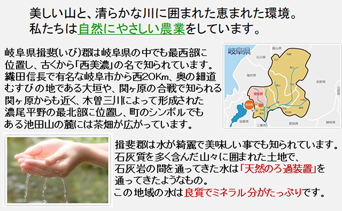 特別栽培米★精米20kg（白米/5分/7分ツキ可）【ミルキークイーン・ハツシモ】 玄米は別に出品 お米 ブランド米 銘柄米 ご飯 モチモチ 冷めても美味しい 低アミロース米 大粒 アッサリ  5分ヅキ