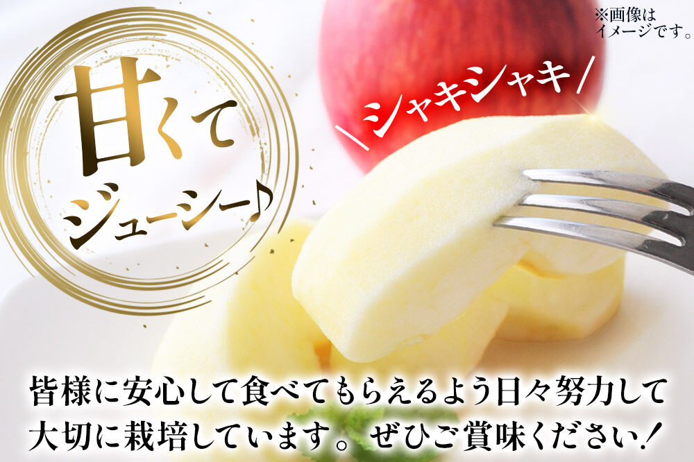 【26年11月下旬～発送】りんご 葉とらず サンふじ【家庭用】約3kg【先行受付】カワムラファーム 青森県 弘前市 果物 フルーツ 林檎 リンゴ くだもの 不揃い 規格外 [先行予約 産地直送 アップ