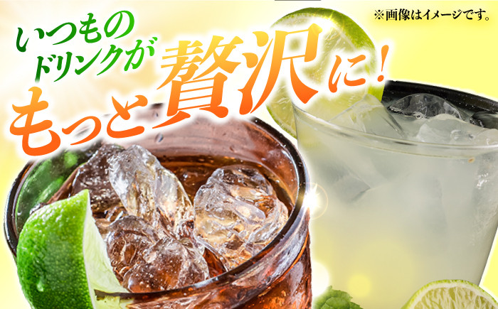 【長崎県長与町産】璃の香 （ りのか ） 約3kg レモン