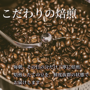 コーヒー豆 スペシャルブレンド 600g コーヒー豆