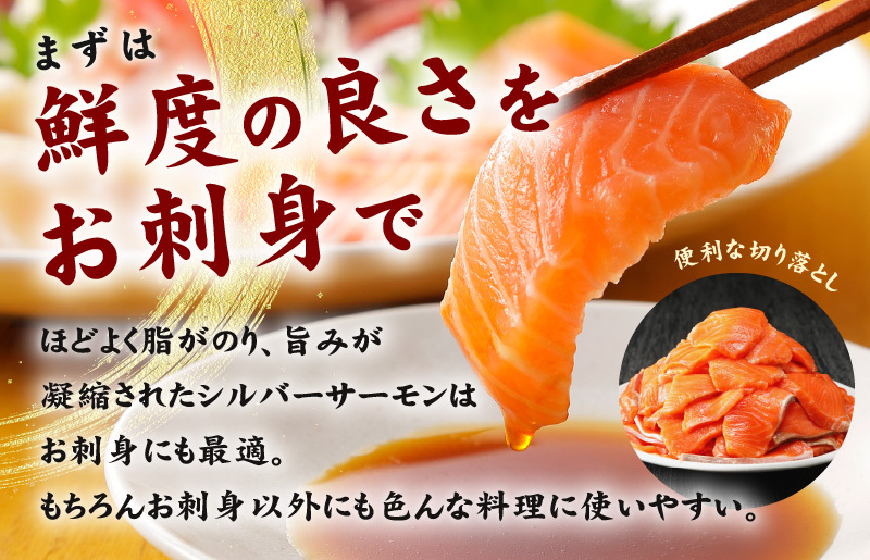 【便利でおいしい】サーモン 切り落とし 900g 小分け 300g×3 訳あり サイズ不揃い 刺身 海鮮丼 サラダ カルパッチョ 010B1495_イメージ2