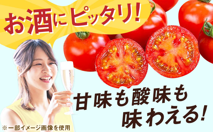 【酸味と甘みのバランスがド級】人気のドトマト2号1箱 / トマト とまと サラダ 野菜 / 佐賀県 / 永尾産ち [41AAAC003]