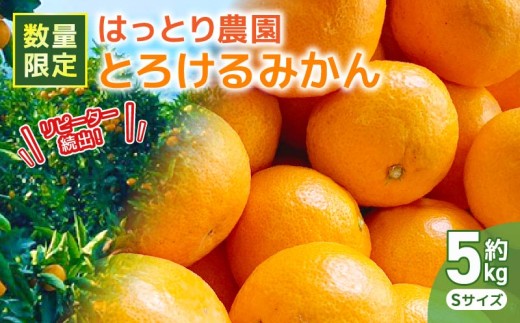 とろけるみかん 安田町 生まれ はっとり育ち とろけるみかん 5kg 5キロ Sサイズ S 家庭用 みかん 柑橘 蜜柑 フルーツ 柑橘類 シトラス みかんふるさと納税 ふるさと納税みかん 果物 期間限定 文旦 季節限定 先行予約 服部農園 ふるさと納税 人気 安田川 高知 安田町 HT0004_26