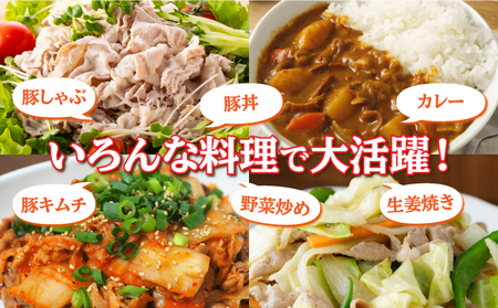 【肥前さくらポーク】 佐賀県産 豚肉 こま切れ 4㎏(500g×8P) 冷凍 小分け ブランド豚 細切れ 大容量 しゃぶしゃぶ 冷凍 お肉 上峰町