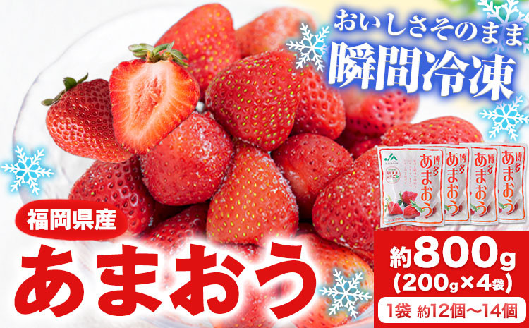 
            冷凍あまおう 約800g(約200g×4袋) 《1-5営業日以内に出荷予定(土日祝除く)》いちご 福岡県 鞍手郡 小竹町 送料無料
          