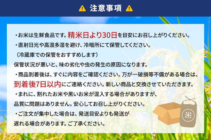 お米 （定期便3回）令和7年度産静岡県産にこまる精米5kg×3 計15kg 米 コメ にこまる 精米 白米 定期便 袋井市 静岡県