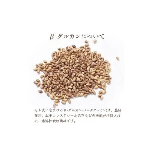 もちむぎカステラ2本セット カステラ 贈り物 ギフト もち麦