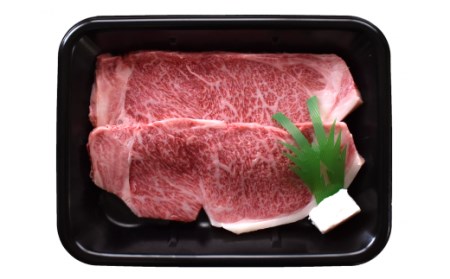 【28019】A5飛騨牛ロースステーキ用400ｇ（200ｇ×2枚）