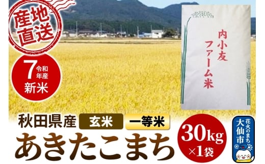 新米 米 令和7年産 秋田県産あきたこまち 一等米 農家直送 玄米30kg 内小友ファーム