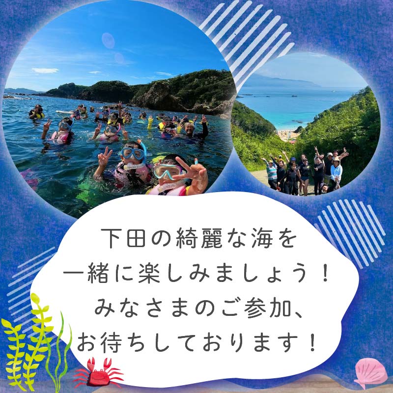 ダイビング 補助券 3,000円分 優待券 下田 体験 海 アウトドア スポーツ アクティビティ マリンスポーツ レジャー 旅行 観光 夏休み お盆 GW 冬休み 春休み 初心者 中級者 上級者 コー