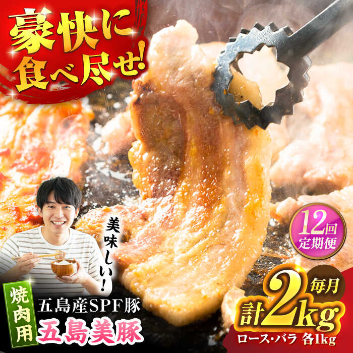 【ふるさと納税】【12回定期便】五島美豚 焼肉2kg (ロース1kg/バラ1kg) 五島市/ごとう農業協同組合[PAF056] 豚肉 焼肉用 焼き肉 やきにく 冷凍 ロース バラ 国産 長崎県