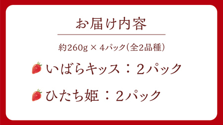 【 茨城いちごグランプリ 受賞 農園 】 完熟 いちご 2品種 食べ比べ セット 茨城県オリジナル品種 イチゴ 苺 フルーツ 果物 果実 いばらキッス ひたち姫 [DY002ci]