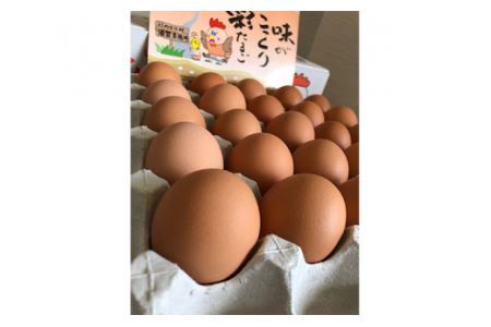 彩たまご うみたてたまご 20個 化粧箱 | 卵 たまご