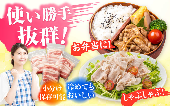 五島美豚薄切り1kg（ロース500g/バラ500g） 五島市/ごとう農業協同組合[PAF004]  しゃぶしゃぶ 冷凍 豚肉 ブランド豚 国産豚 九州 豚 ぶた 肉冷凍 国産豚 豚肉 ブランド豚