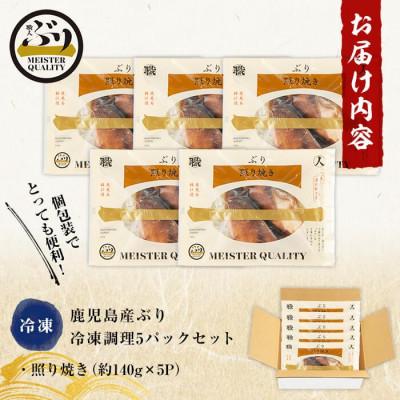 ふるさと納税 垂水市 【鹿児島産ぶり冷凍】漬け焼き魚 照り焼き 計700g 【アクアブルー】 A1-47147 |  | 02