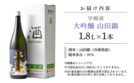 早瀬浦 大吟醸 山田錦 1800ml × 1本 【入手困難 日本酒 就職祝い 転職祝い ハレの日 ギフト プレゼント お祝い お返し お礼 お中元 お歳暮 父の日 敬老の日 】[m06-d003]