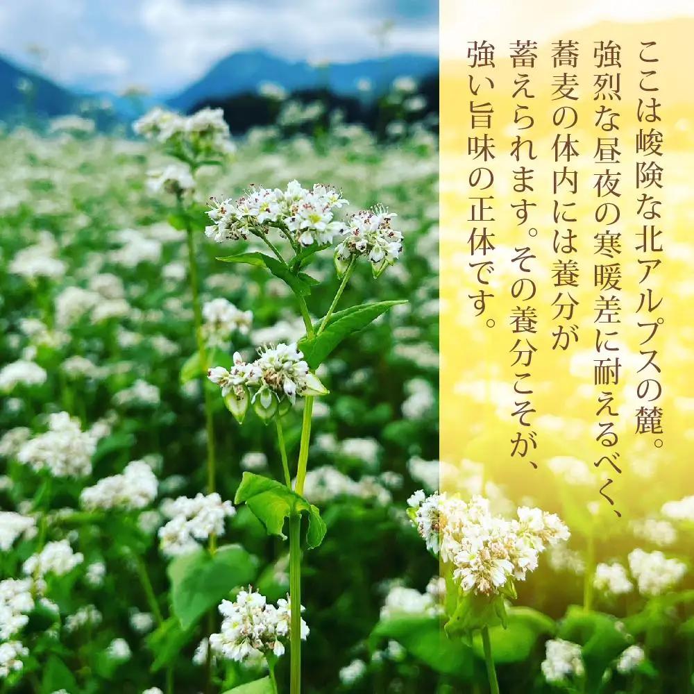 【信州大町産】そば粉『アルプスの舞』1kg×2 | そば 粉 長野