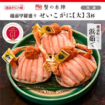 ふるさと納税 越前町 越前甲羅盛り【せいこがに 大】3杯セット