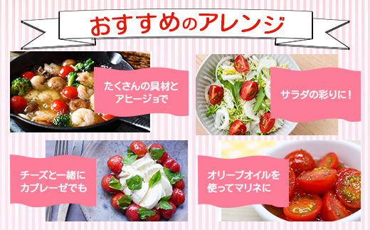 【先行予約】 【2026年1月から出荷】 完熟ミニトマト『Ricotomato』 【1kg×3回定期便】 E-68