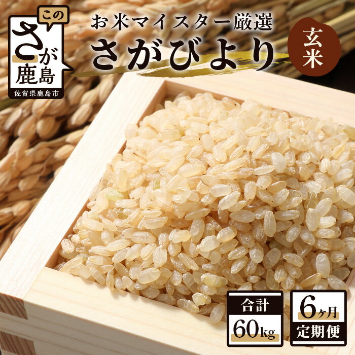 【ふるさと納税】11月発送開始 新米【定期便】お米 6ヶ月定期 佐賀県産 さがびより 玄米 10kg × 6回 計60kg 《6ヶ月連続 毎月お届け》 |ふるさと納税 米 定期 お米 玄米 新米 精米 国産 佐賀県 鹿島市 ふるさと 人気 送料無料 J-4 令和7年産