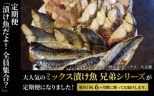 
【定期便】漬け魚だよ！　全員集合？　6か月
