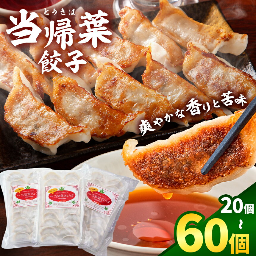 【ふるさと納税】当帰葉餃子 選べる 内容量 20個 / 40個 / 60個入り | 冷凍餃子 餃子 ぎょうざ ギョウザ 冷凍 焼餃子 冷凍餃子 人気 | 奈良県 五條市