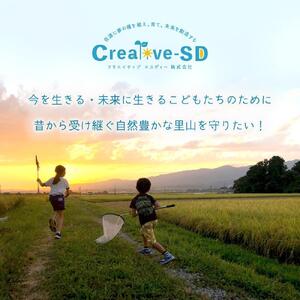 【新米】佐渡島産コシヒカリ 白米5Kg×1袋 特別栽培米 令和6年産 ”ベストファーマー認証受賞歴”