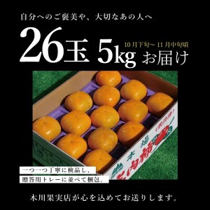 SB0476　酒田の果物専門店厳選　庄内柿(種なし柿)　約5kg(26玉入) 【贈答用仕様】