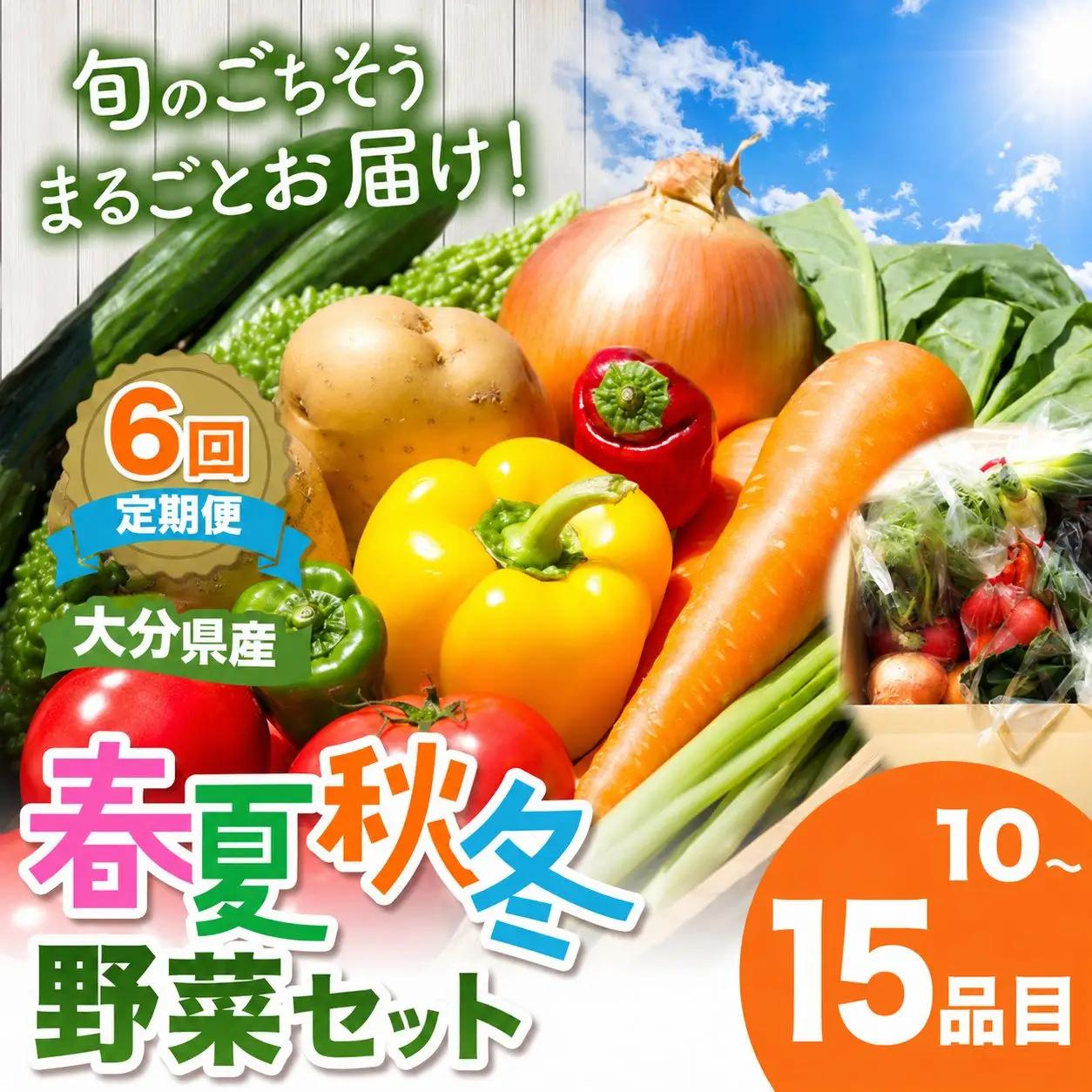 【定期便6回】【JA直売所直送】春夏秋冬野菜セット | 毎月届く 旬野菜 野菜 やさい ヤサイ 旬 セット 国産 国産野菜 定期 定期便 6回 大分県 中津市