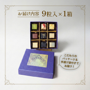 冬季発送 ローチョコレート 9個入り ヴィーガンチョコレートギフト 手提げ袋付き