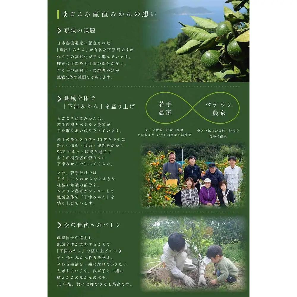 【10回定期便】みかん 旬の柑橘 ミカン 蜜柑 柑橘 柑橘定期便 かんきつ 和歌山県 海南市