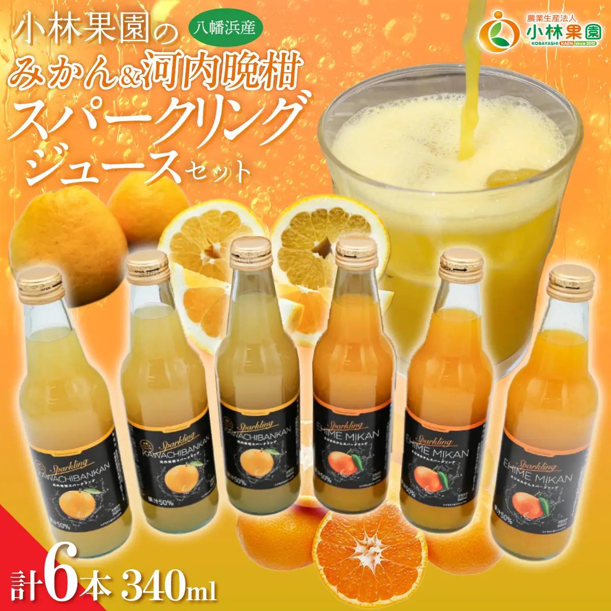 小林果園の柑橘スパークリングジュースセット(2品種・計6本)【C24-28】【1233619】 YWTAD021