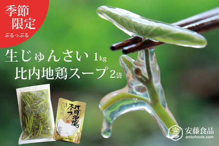 生じゅんさい1kg＋比内地鶏スープ200ml×2袋 《冷蔵》（2027年5月上旬頃～7月下旬までに発送予定） 令和9年産 2027年産 先行受付  秋田県産 三種町産