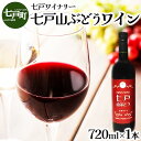 【ふるさと納税】 七戸山ぶどうワイン　720ml×1本 【完熟 葡萄 ブドウ 山ぶどう ワイン 甘口ワイン 無添加 青森県 贈り物 贈答 ギフト プレゼント 美容 健康 生活習慣病予防 骨粗しょう症予防 貧血予防】 【02402-0153】