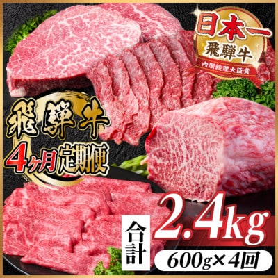 【毎月定期便】飛騨牛 赤身定期便 計2.4kg 焼肉 BBQ すき焼き しゃぶしゃぶ ブロック全4回【配送不可地域：離島】【4072650】