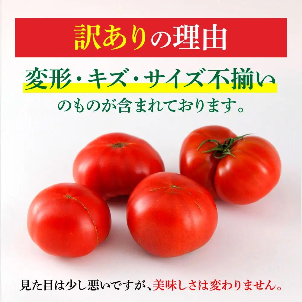 先行予約 訳ありフルーツトマト 3kg フルーツトマト BQAG054