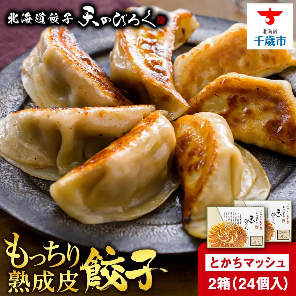 北海道餃子天のびろく とかちマッシュ12粒入 2箱