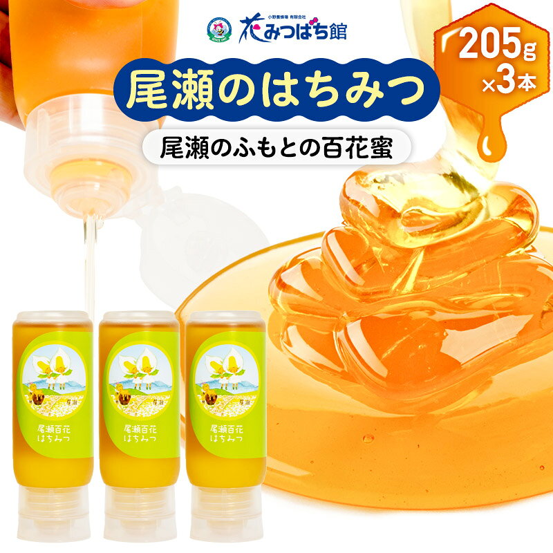 【ふるさと納税】《満天☆青空レストラン紹介》 尾瀬のはちみつ（百花）205g×3本セット 花みつばち館 [蜂蜜 はちみつ ハチミツ 詰合せ 詰合わせ 詰め合せ セット]