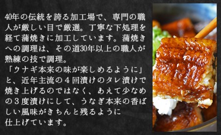 【大人気！】高知県産養殖うなぎ蒲焼き 100～120g 2尾セット fb-0018