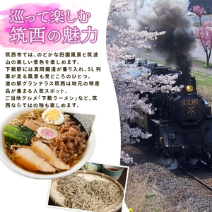 麦茶 500ml 24本 麦茶