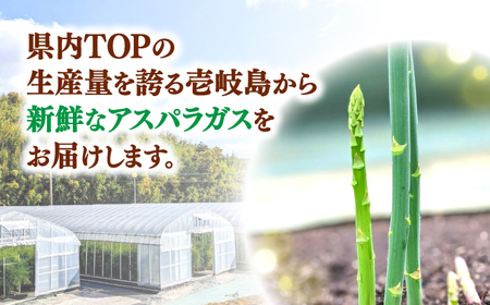 【アスパラガス専門農家が作る！】壱岐産アスパラガス1kg(Lサイズ)≪壱岐市≫【きたじま農園】国産 冷蔵配送 産地直送 朝採れ 新鮮[JGI003]