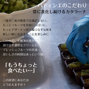 【 毎月 定期便 】 わらいみらい カタラーナ 濃厚 ブリュレ 毎回違う味が 6種類 ずつ届く 全3回 | 長野県 飯田市